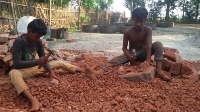 লম্বা দুই মাস স্কুল ছুটি,মালদায় শ্রমিকের কাজে পড়ুয়ারা