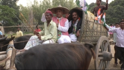 গোরুর গাড়িতে নির্বাচনী প্রচার উত্তর মালদার কংগ্রেস প্রার্থীর