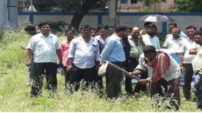 পার্থেনিয়াম নিধনে হাতে মাঠে নামলেন তুলসীহাটা পঞ্চায়েত