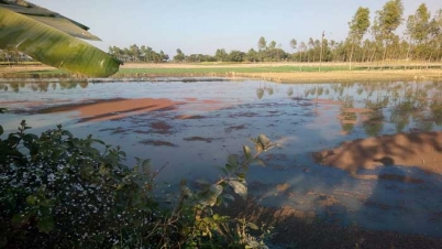 পানীয় জলের জন্য জেরবার