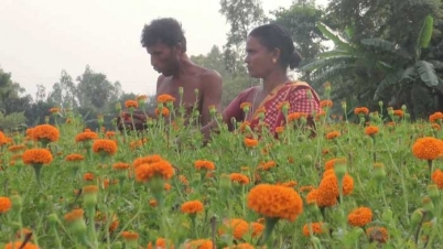 ফুল তুলে গান গেয়ে আসর মাতাচ্ছে তাপস