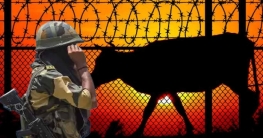 গরুপাচার মামলায় বিএসএফ জওয়ানের বরখাস্ত বহাল