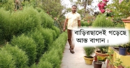 উষ্ণায়ন রোধের বার্তা নিয়ে  বাড়ির ছাদেই গড়েছে আস্ত বাগান।