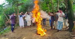 লকডাউনের মধ্যে ও উত্তর নারাইনপুরে বিধায়ক নিজামের কুশপুত্তলিকা দাহ