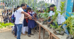 নতুন চাকরিতে জয়েনিং উপলক্ষে বিদ্যালয়ের ছাত্রছাত্রীদের চারাগাছ উপহার পরিবেশ প্রেমী শিক্ষকের।