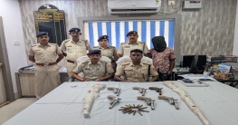 বেলডাঙ্গায় কুখ্যাত অস্ত্র সরবরাহকারী গ্রেফতার, পাইপগান,মাস্কেটসহ বিপুল আগ্নেয়াস্ত্র উদ্ধার