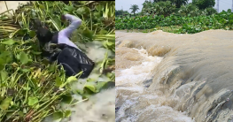 ফরাক্কায় বেহাল রাস্তা, স্কুলে যেতে গিয়ে জলের তোড়ে ভেসে গেল ছাত্র