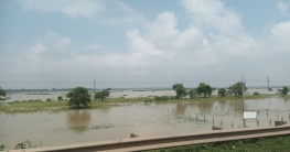 বৃষ্টির জলে প্লাবন সুতির উমরাপুর, বহুতালী ও হারুয়া সংলগ্ন এলাকায়