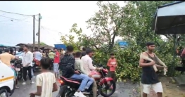 প্রবল ঝড়ে লণ্ডভণ্ড জনজীবন, ধুলিয়ান-পাকুর রোডে গাছ ভেঙে যান চলাচলে বাধা প্রবল ঝড়ে লণ্ডভণ্ড জনজীবন, ধুলিয়ান-পাকুর রোডে গাছ ভেঙে যান চলাচলে বাধা