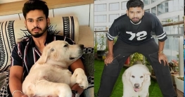 শ্রেয়াস আইয়ার প্রায় কুকুরের কামড়ে পড়লেন শ্রেয়াস আইয়ার প্রায় কুকুরের কামড়ে পড়লেন