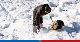 হিমাচলে পোষ্যের আনুগত্য।