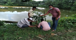 চাঁচল-১ব্লকে অরণ্য সপ্তাহ উদযাপন