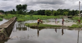 জমি বাঁচাতে স্বেচ্ছাশ্রমে কাজ করলেন কৃষকরা