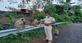 ওরা কথা কইতে জানে না - তবে নির্বোধ নয়।   অনুভূতিটা