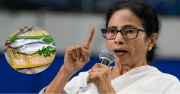 বিহারে নতুন বিধিনিষেধ, প্রশ্ন তুললেন মমতা