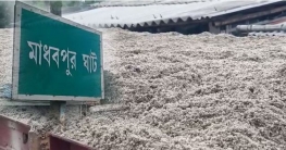 মহানন্দার বুক থেকে অবৈধভাবে কাটা হচ্ছে সাদা বালি।